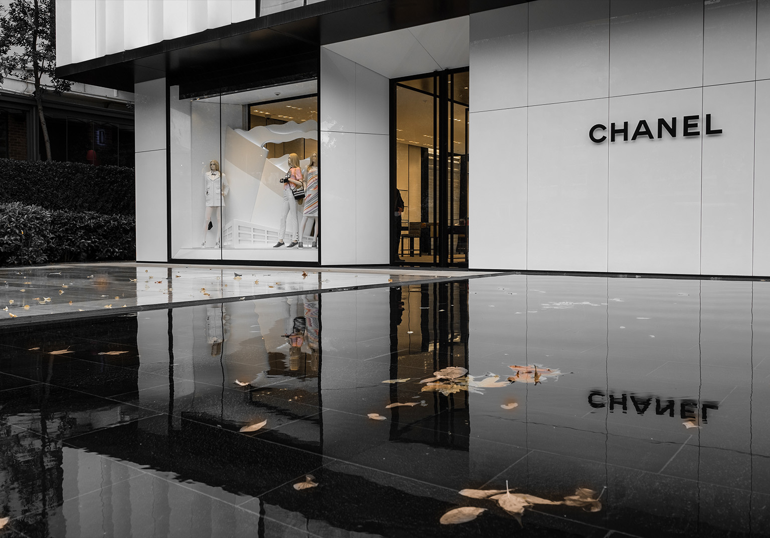 Chanel Xmas Window Campaign